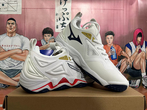Mizuno-Mizuno Wave Momentum 3 40-45